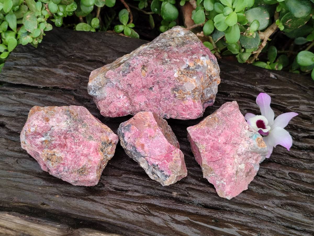 Natural Rhodonite Cobbed Specimens x 4 From Rhusinga, Zimbabwe - Toprock Gemstones and Minerals 