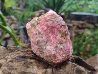 Natural Rhodonite Cobbed Specimens x 4 From Rhusinga, Zimbabwe