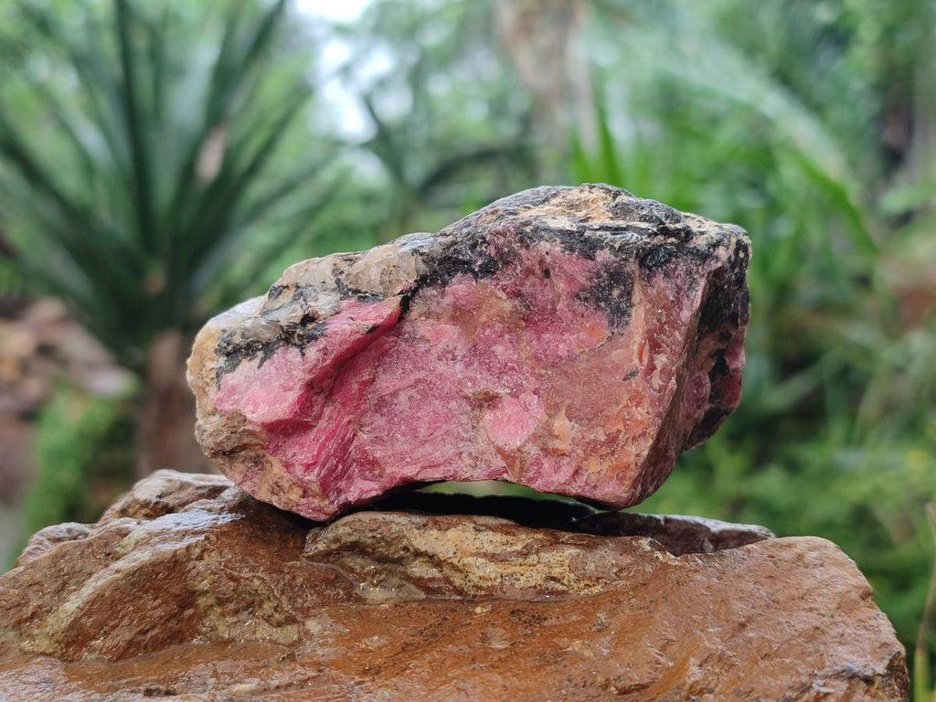 Natural Rhodonite Cobbed Specimens x 4 From Rhusinga, Zimbabwe - Toprock Gemstones and Minerals 