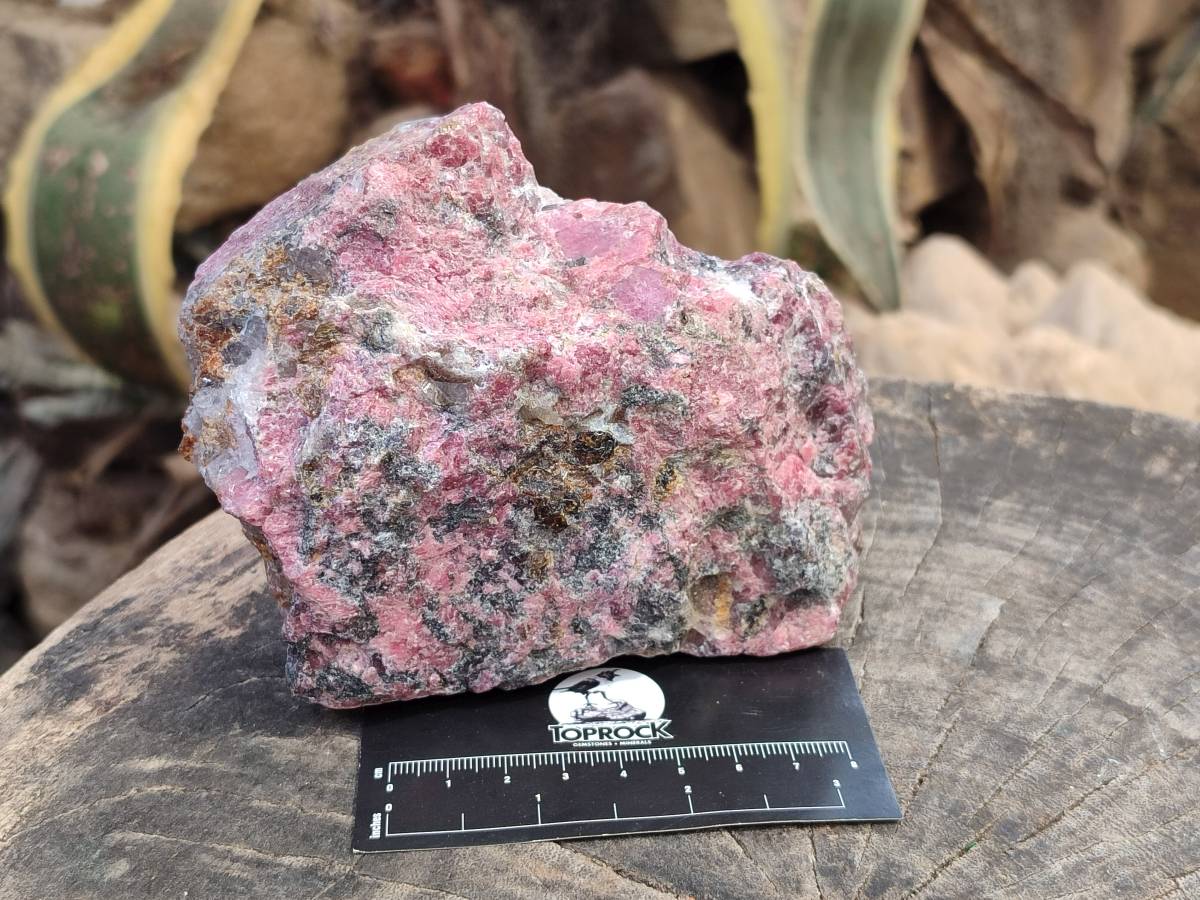 Natural Rhodonite Cobbed Specimens x 4 From Rhusinga, Zimbabwe - Toprock Gemstones and Minerals 