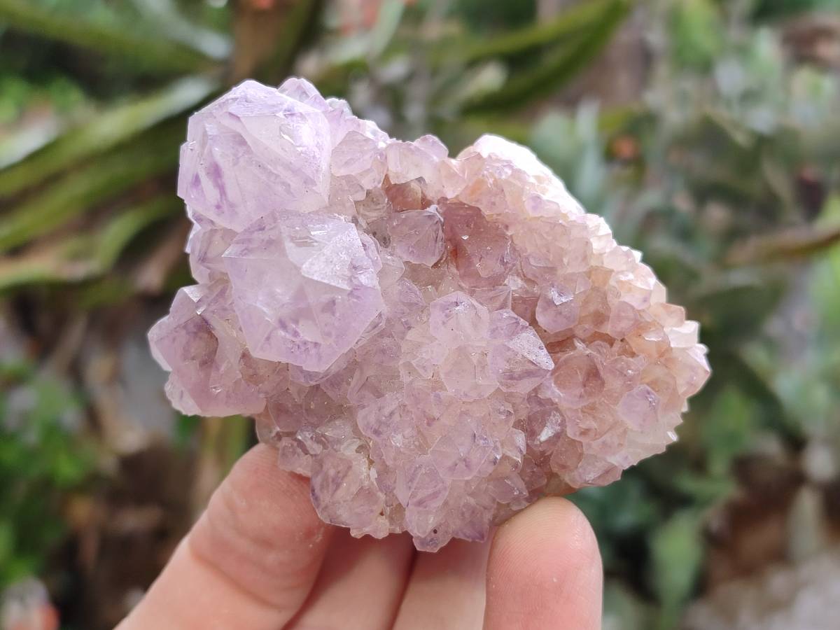 Natural Sunburst Amethyst Spirit Quartz Clusters x 6 From Boekenhouthoek, South Africa - Toprock Gemstones and Minerals 