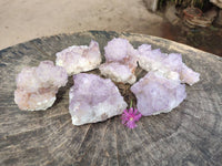 Natural Sunburst Amethyst Spirit Quartz Clusters x 6 From Boekenhouthoek, South Africa