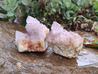 Natural Sunburst Amethyst Spirit Quartz Clusters x 6 From Boekenhouthoek, South Africa - Toprock Gemstones and Minerals 
