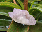 Natural Sunburst Amethyst Spirit Quartz Clusters x 6 From Boekenhouthoek, South Africa - Toprock Gemstones and Minerals 