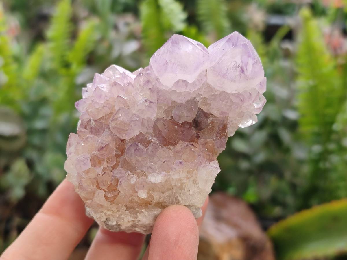 Natural Sunburst Amethyst Spirit Quartz Clusters x 6 From Boekenhouthoek, South Africa - Toprock Gemstones and Minerals 