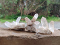 Natural Mixed Quartz Crystal Clusters x 35 From Madagascar - Toprock Gemstones and Minerals 