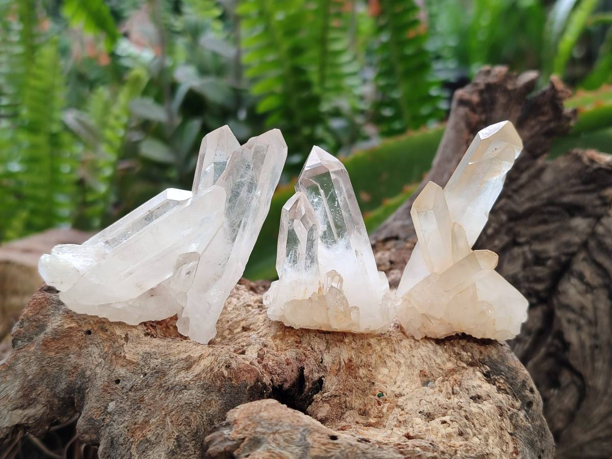 Natural Mixed Quartz Crystal Clusters x 35 From Madagascar - Toprock Gemstones and Minerals 