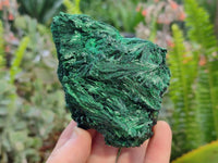 Natural Silky Malachite Specimens x 6 From Kasompe, Congo