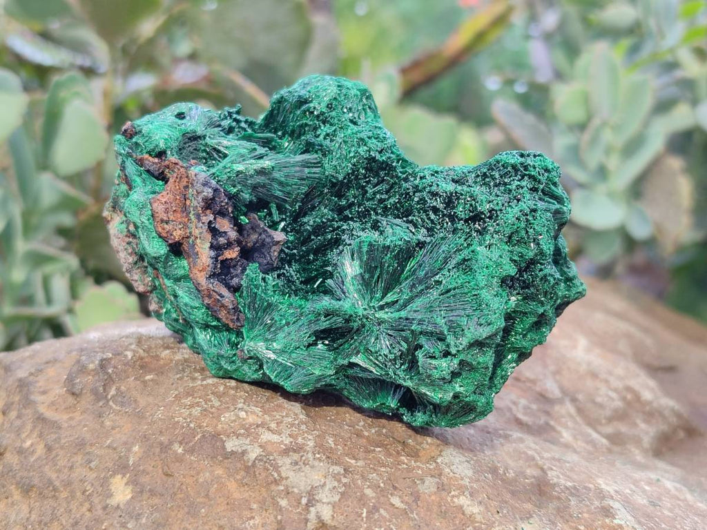 Natural Silky Malachite Specimens x 6 From Kasompe, Congo - Toprock Gemstones and Minerals 