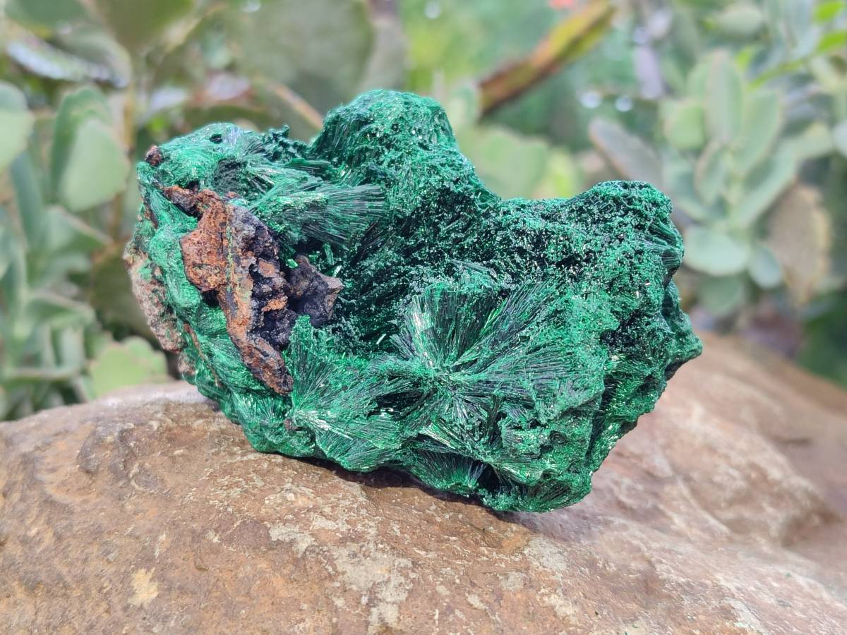 Natural Silky Malachite Specimens x 6 From Kasompe, Congo - Toprock Gemstones and Minerals 