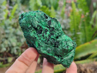 Natural Silky Malachite Specimens x 6 From Kasompe, Congo