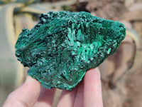 Natural Silky Malachite Specimens x 6 From Kasompe, Congo
