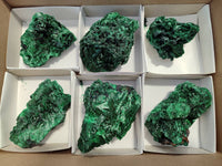 Natural Silky Malachite Specimens x 6 From Kasompe, Congo