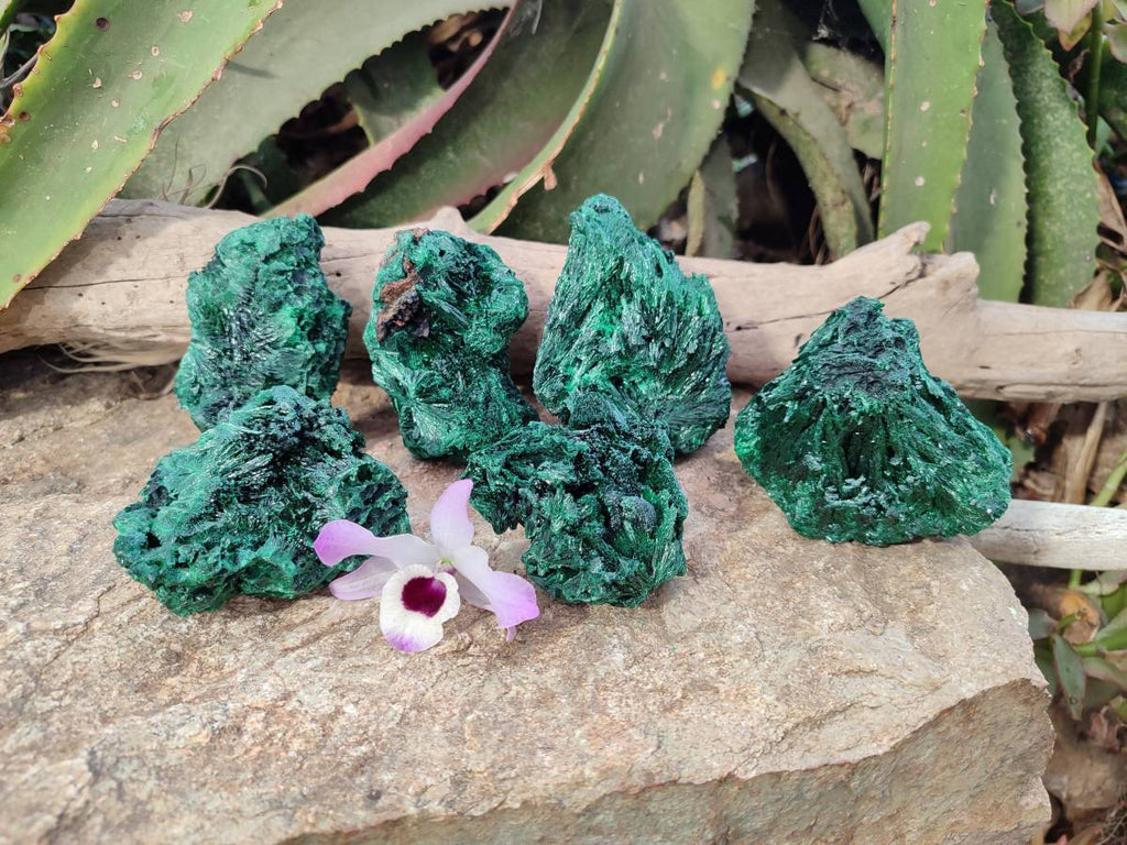 Natural Silky Malachite Specimens x 6 From Kasompe, Congo - Toprock Gemstones and Minerals 
