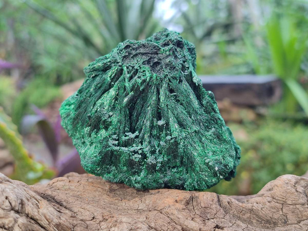 Natural Silky Malachite Specimens x 6 From Kasompe, Congo - Toprock Gemstones and Minerals 