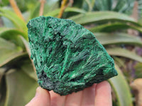 Natural Silky Malachite Specimens x 6 From Kasompe, Congo