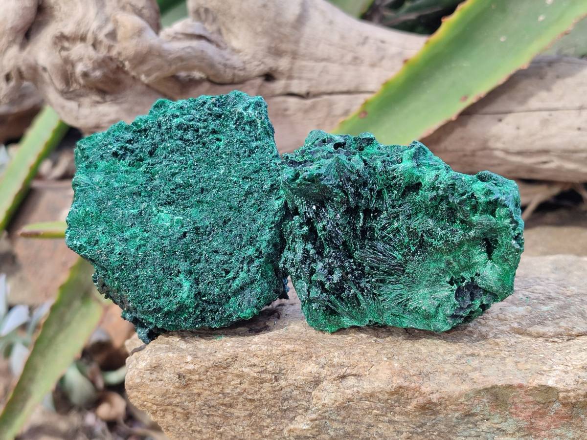 Natural Silky Malachite Specimens x 6 From Kasompe, Congo - Toprock Gemstones and Minerals 