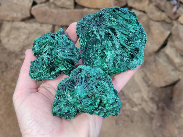 Natural Silky Malachite Specimens x 6 From Kasompe, Congo