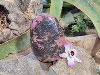 Polished Rhodonite Standing Free Form x 1 From Ambindavato, Madagascar