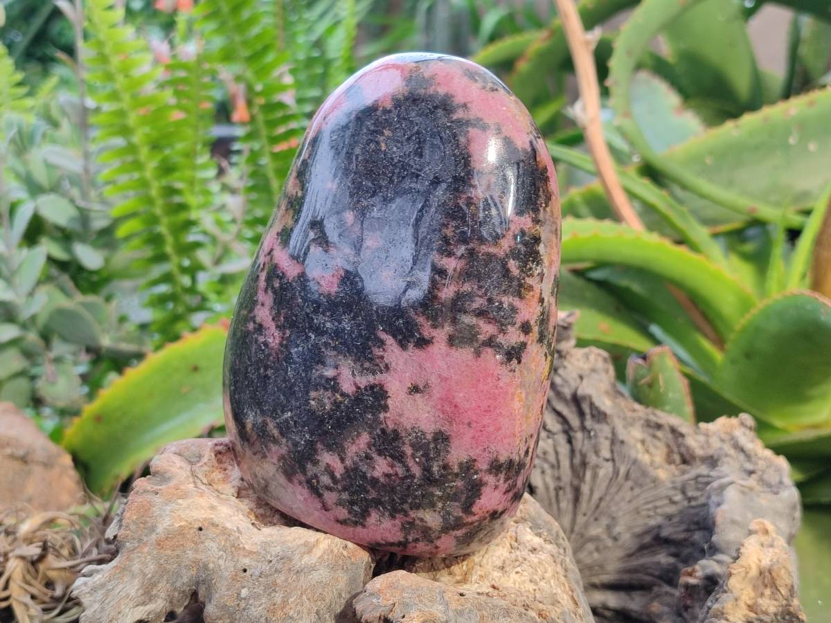 Polished Rhodonite Standing Free Form x 1 From Ambindavato, Madagascar - Toprock Gemstones and Minerals 