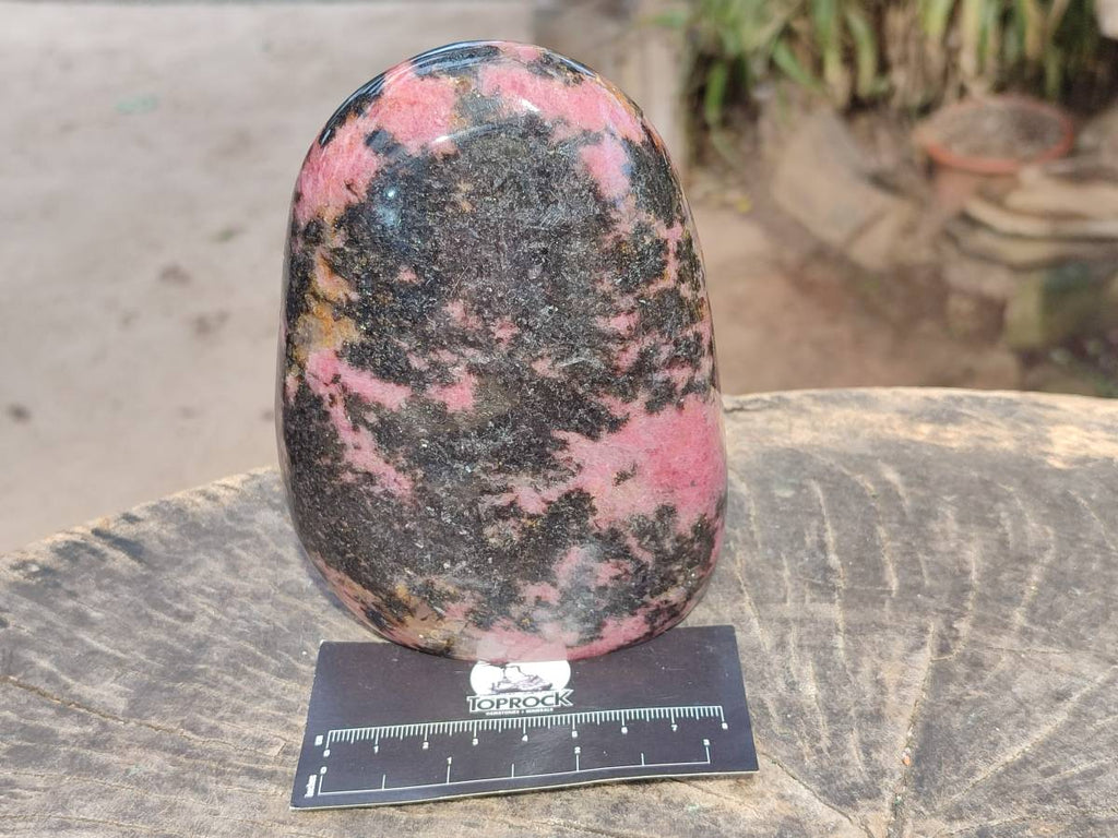 Polished Rhodonite Standing Free Form x 1 From Ambindavato, Madagascar - Toprock Gemstones and Minerals 