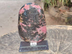 Polished Rhodonite Standing Free Form x 1 From Ambindavato, Madagascar - Toprock Gemstones and Minerals 