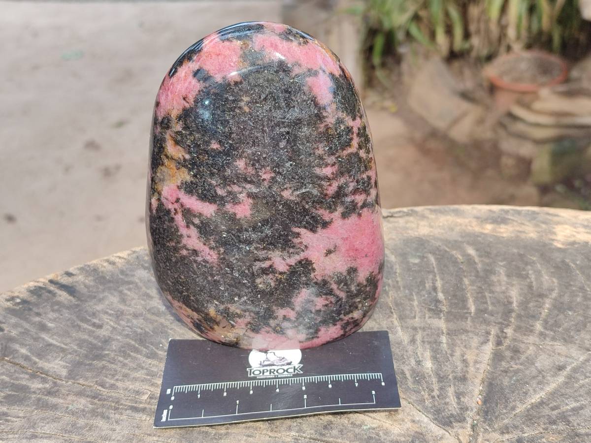 Polished Rhodonite Standing Free Form x 1 From Ambindavato, Madagascar - Toprock Gemstones and Minerals 