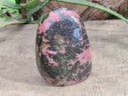 Polished Rhodonite Standing Free Form x 1 From Ambindavato, Madagascar - Toprock Gemstones and Minerals 