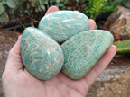 Polished Amazonite Palm Stones x 9 From Zimbabwe - Toprock Gemstones and Minerals 