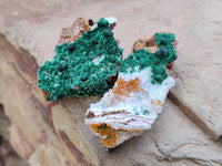 Natural Crystalline Ball Malachite and Quartz On Dolomite Matrix Specimens x 6 From Mindingi Mine, Kambove, Congo