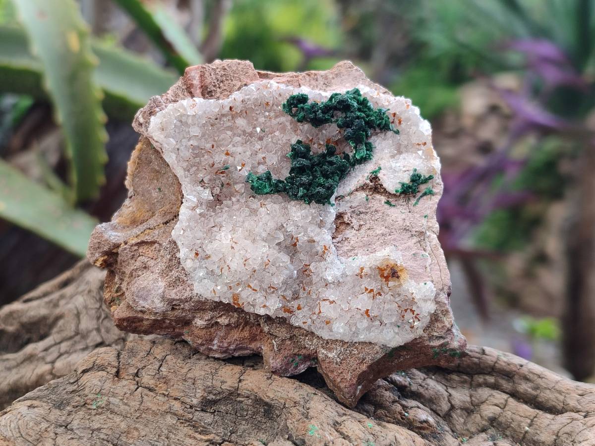 Natural Crystalline Ball Malachite and Quartz On Dolomite Matrix Specimens x 6 From Mindingi Mine, Kambove, Congo - Toprock Gemstones and Minerals 
