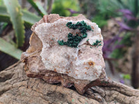 Natural Crystalline Ball Malachite and Quartz On Dolomite Matrix Specimens x 6 From Mindingi Mine, Kambove, Congo