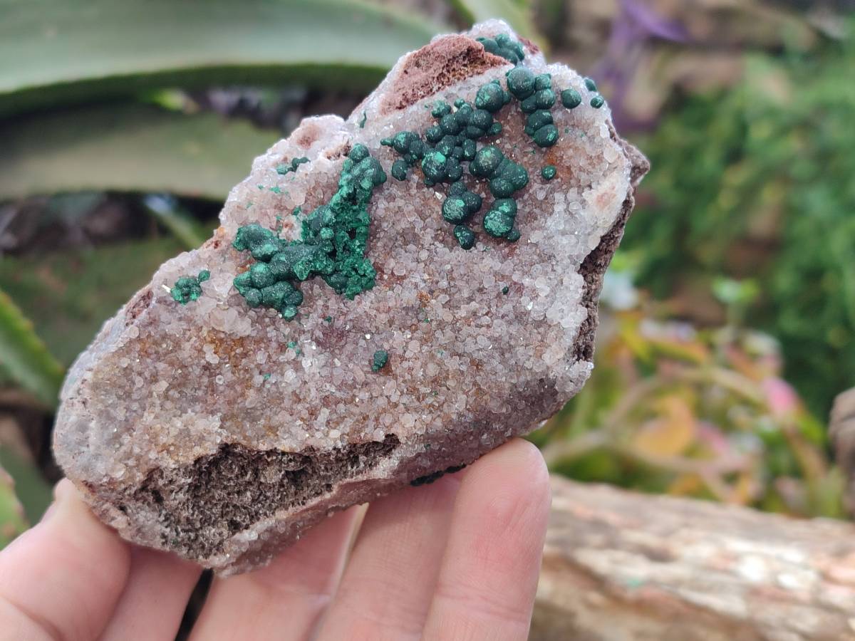 Natural Crystalline Ball Malachite and Quartz On Dolomite Matrix Specimens x 6 From Mindingi Mine, Kambove, Congo - Toprock Gemstones and Minerals 