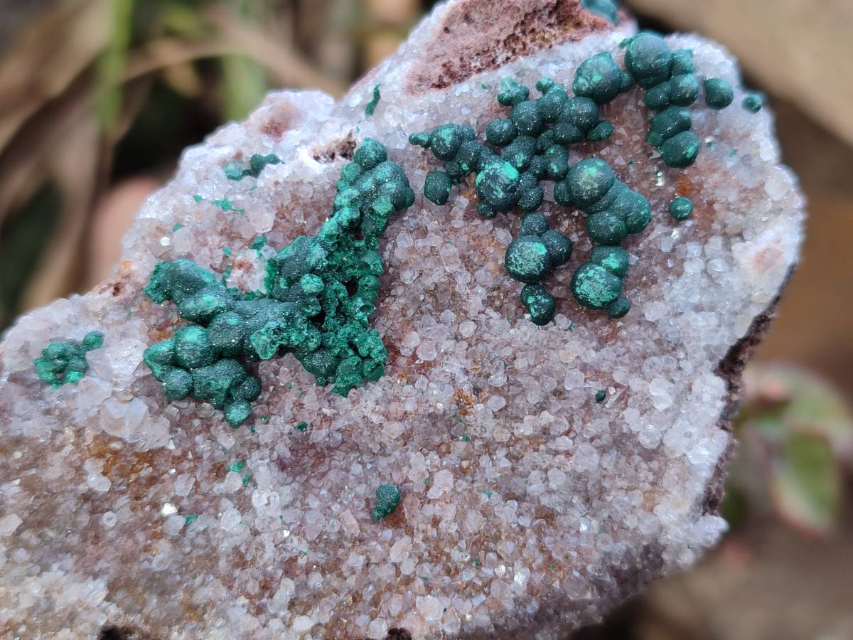 Natural Crystalline Ball Malachite and Quartz On Dolomite Matrix Specimens x 6 From Mindingi Mine, Kambove, Congo - Toprock Gemstones and Minerals 