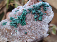 Natural Crystalline Ball Malachite and Quartz On Dolomite Matrix Specimens x 6 From Mindingi Mine, Kambove, Congo