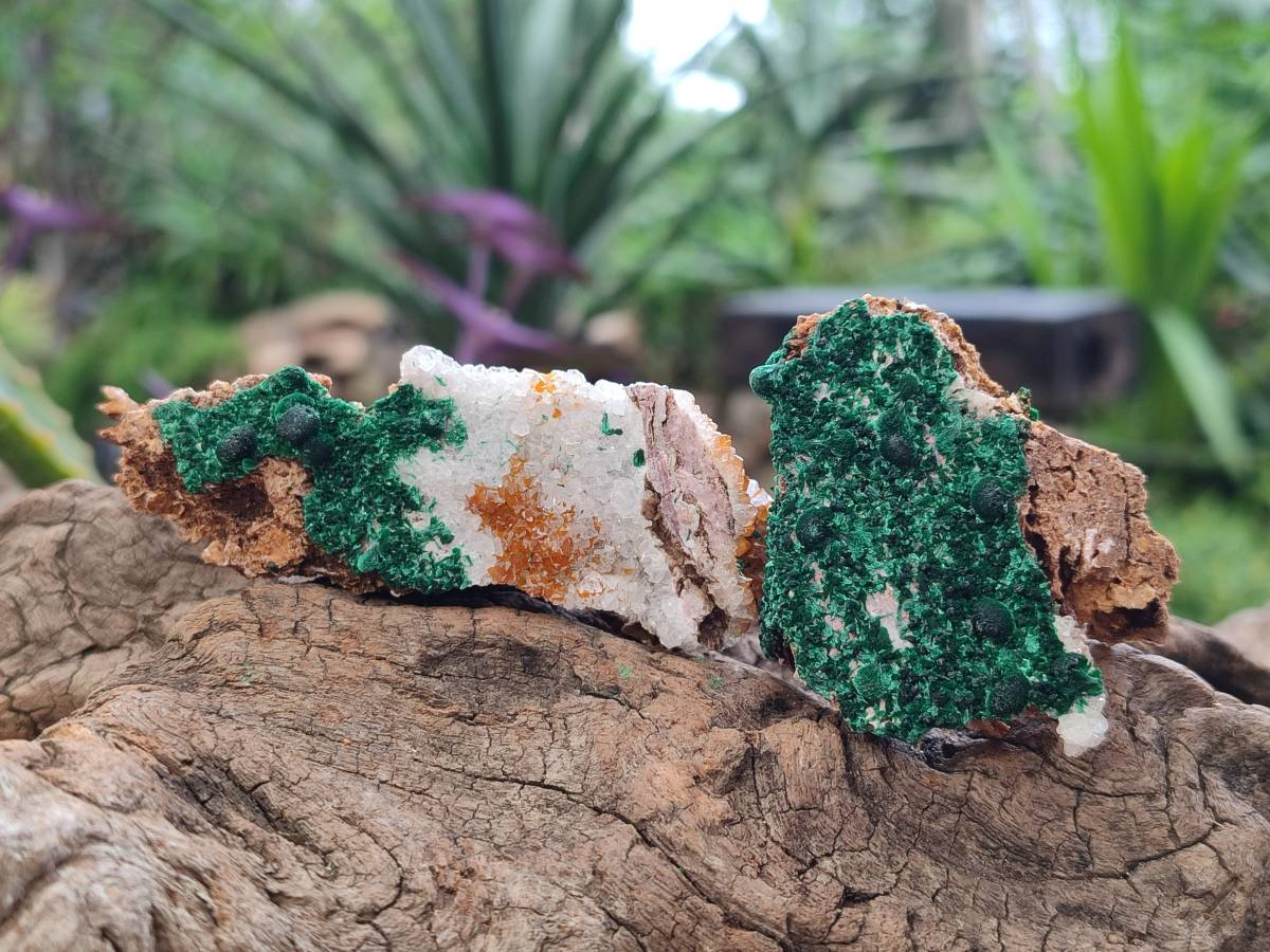 Natural Crystalline Ball Malachite and Quartz On Dolomite Matrix Specimens x 6 From Mindingi Mine, Kambove, Congo - Toprock Gemstones and Minerals 