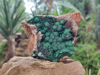 Natural Crystalline Ball Malachite and Quartz On Dolomite Matrix Specimens x 6 From Mindingi Mine, Kambove, Congo