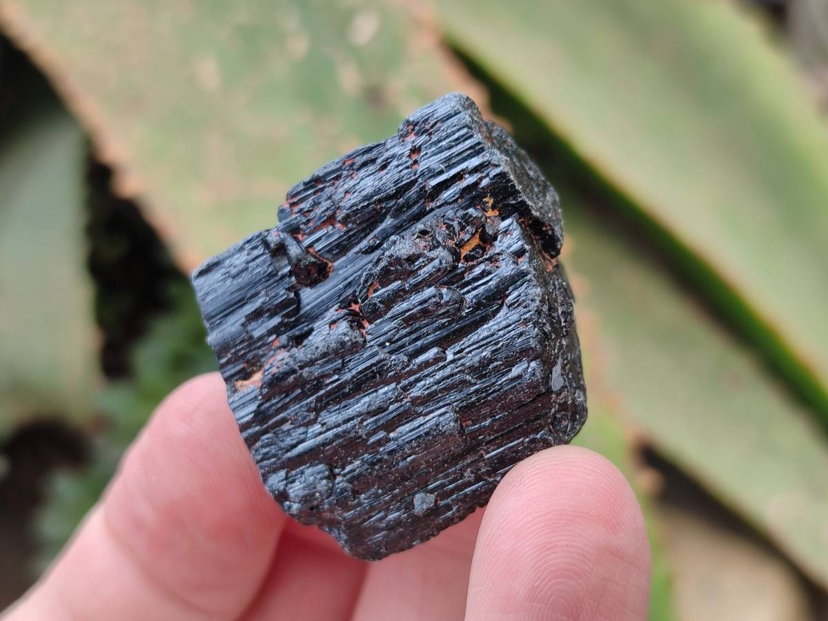 Natural Alluvial Schorl Black Tourmaline Crystals x 2.65 Kg Lot From Zimbabwe - Toprock Gemstones and Minerals 