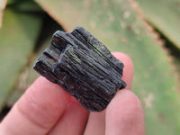 Natural Alluvial Schorl Black Tourmaline Crystals x 2.65 Kg Lot From Zimbabwe