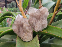Natural Smokey Phantom Quartz Clusters x 4 From Luena, Congo