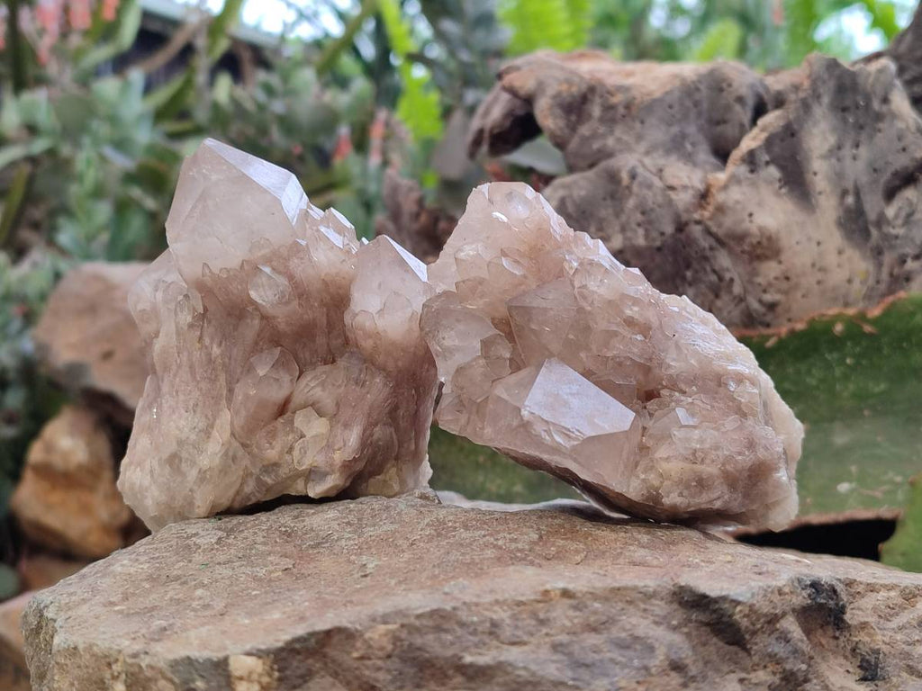 Natural Smokey Phantom Quartz Clusters x 4 From Luena, Congo - Toprock Gemstones and Minerals 