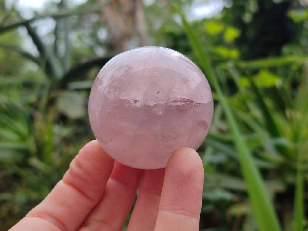 Polished Rose Quartz Spheres x 6 From Madagascar - Toprock Gemstones and Minerals 