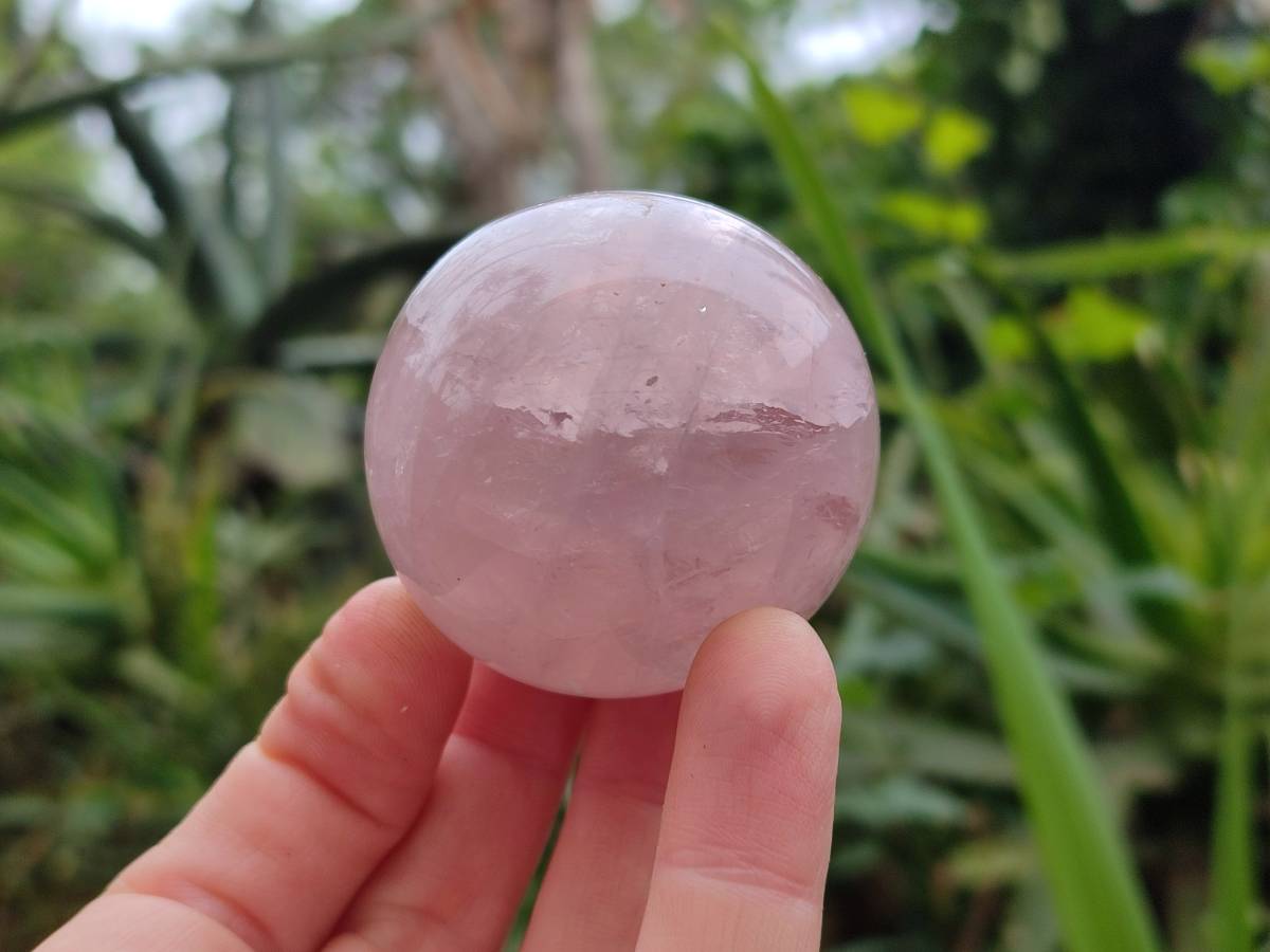 Polished Rose Quartz Spheres x 6 From Madagascar - Toprock Gemstones and Minerals 