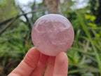 Polished Rose Quartz Spheres x 6 From Madagascar - Toprock Gemstones and Minerals 