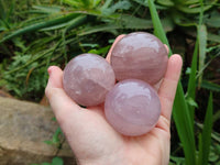 Polished Rose Quartz Spheres x 6 From Madagascar