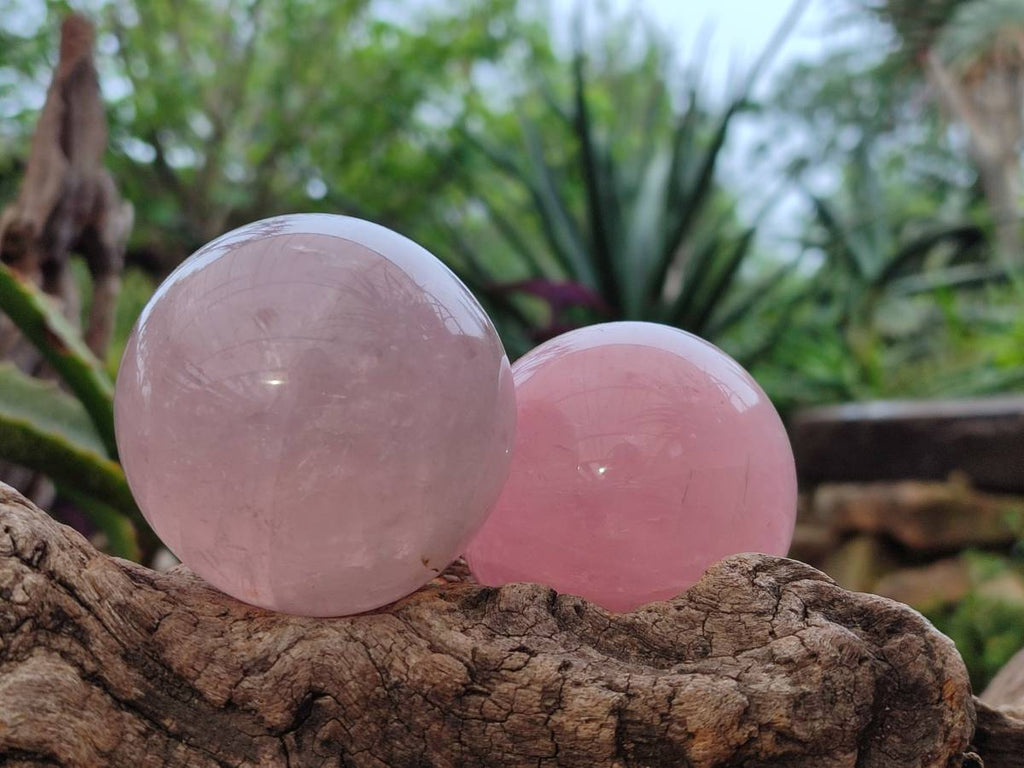 Polished Rose Quartz Spheres x 6 From Madagascar - Toprock Gemstones and Minerals 