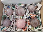 Polished Rose Quartz Spheres x 6 From Madagascar - Toprock Gemstones and Minerals 