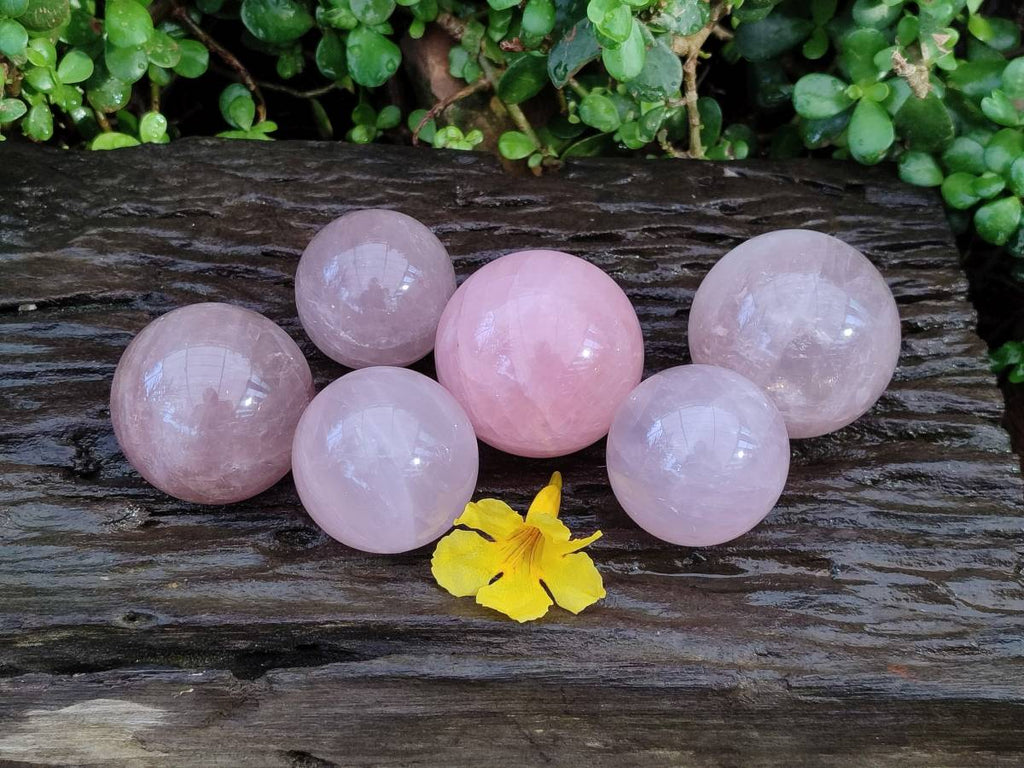 Polished Rose Quartz Spheres x 6 From Madagascar - Toprock Gemstones and Minerals 