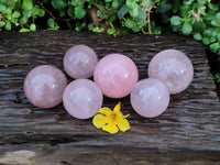 Polished Rose Quartz Spheres x 6 From Madagascar