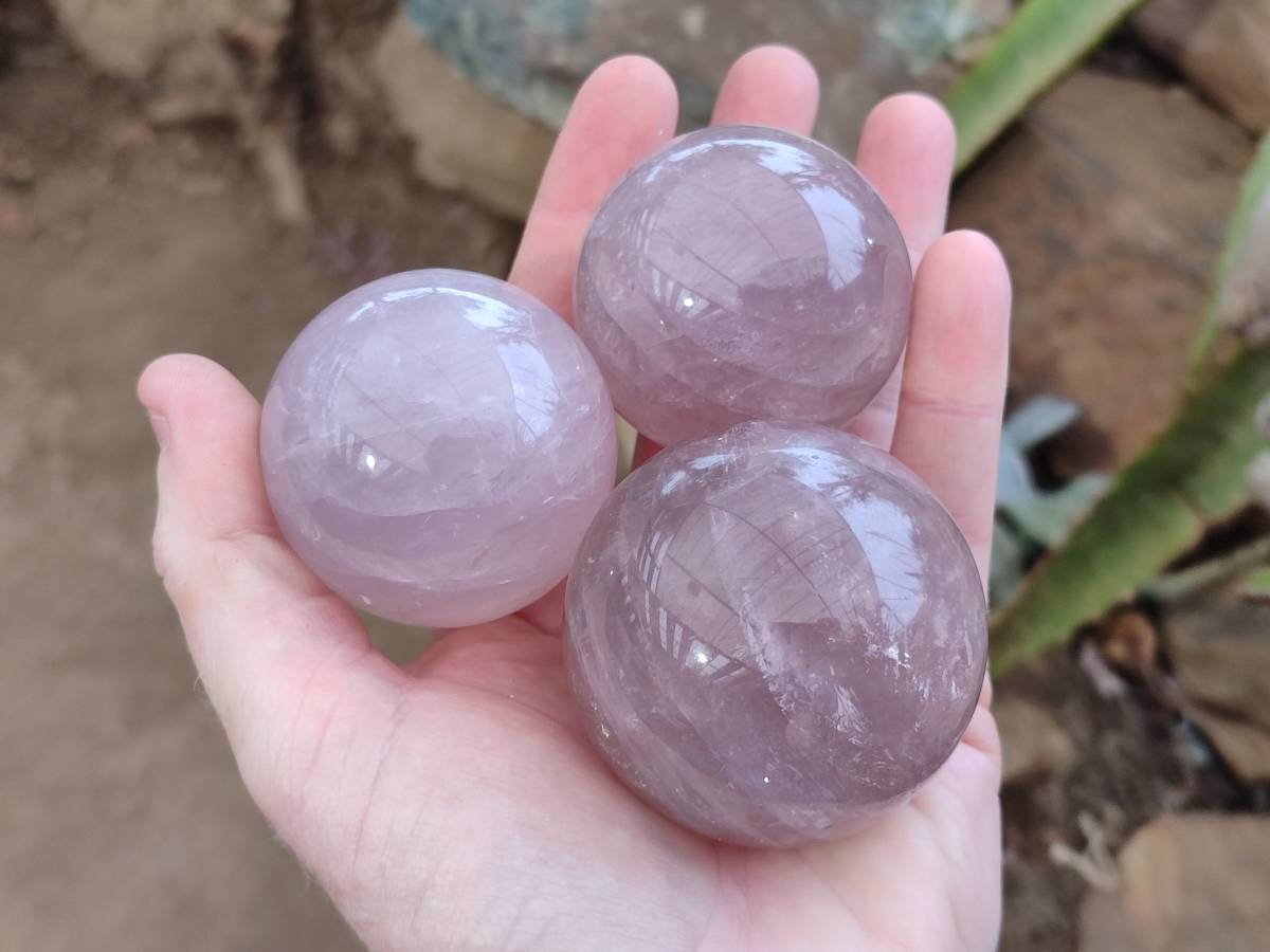 Polished Rose Quartz Spheres x 6 From Madagascar - Toprock Gemstones and Minerals 